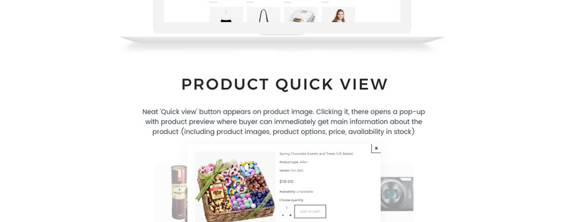 大袋-批发商店Shopify主题 #66938