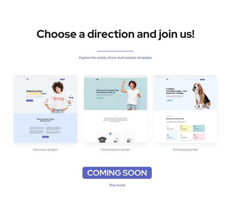 Vollin - 志愿者组织 WordPress 主题 #272918