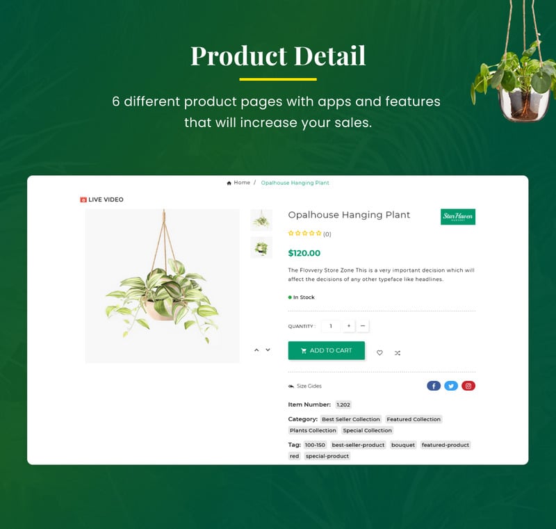 Dplantcy - 超级植物园 Shopify 2.0 主题 #288526