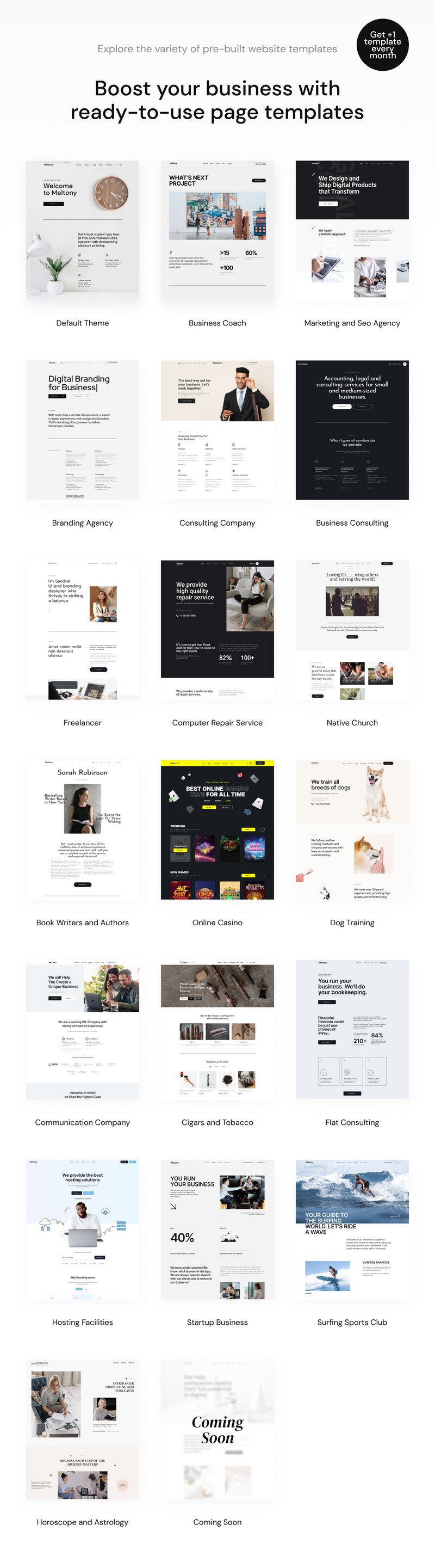 Meltony - 适用于任何企业的极简主义 WordPress 主题 #71806