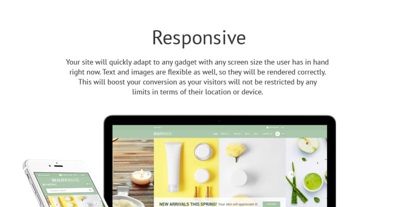 BeautyHouse-化妆品商店Shopify主题 #63389