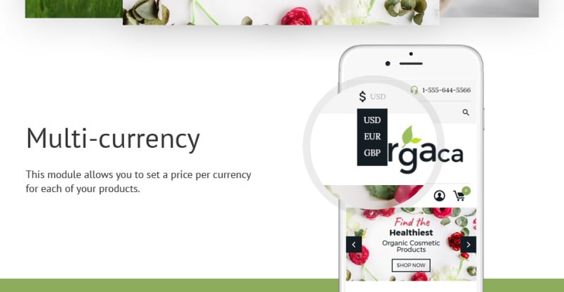 化妆品店响应式Shopify主题 #63571