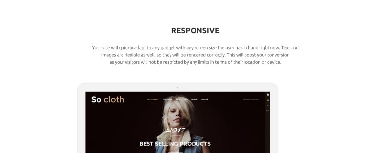 时尚商店响应式Shopify主题 #63580