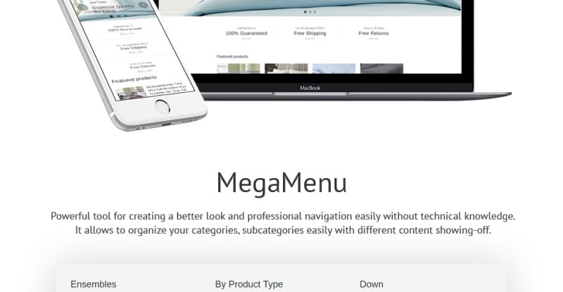 亚麻和蕾丝响应Shopify主题 #63634