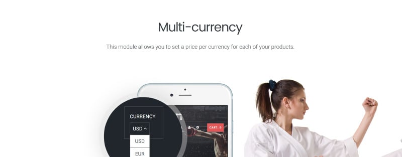 武术响应式Shopify主题 #64086