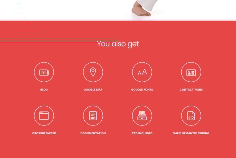 武术响应式Shopify主题 #64086