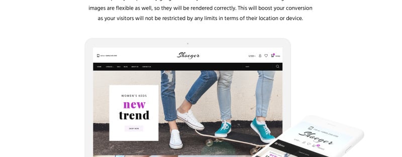 鞋店响应式Shopify主题 #64380