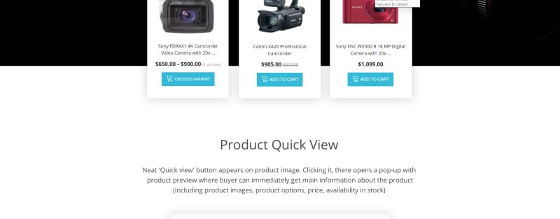 电子商店响应式Shopify主题 #64635