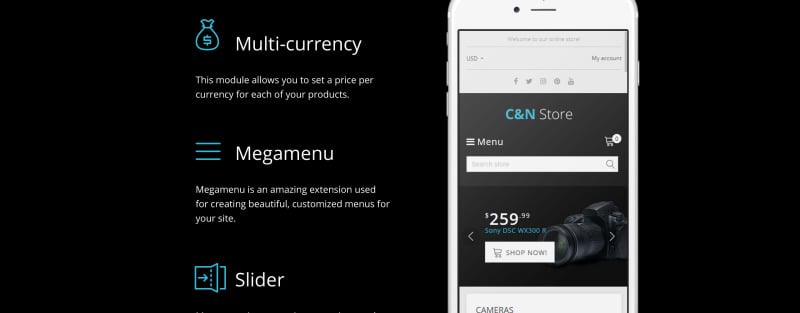 电子商店响应式Shopify主题 #64635