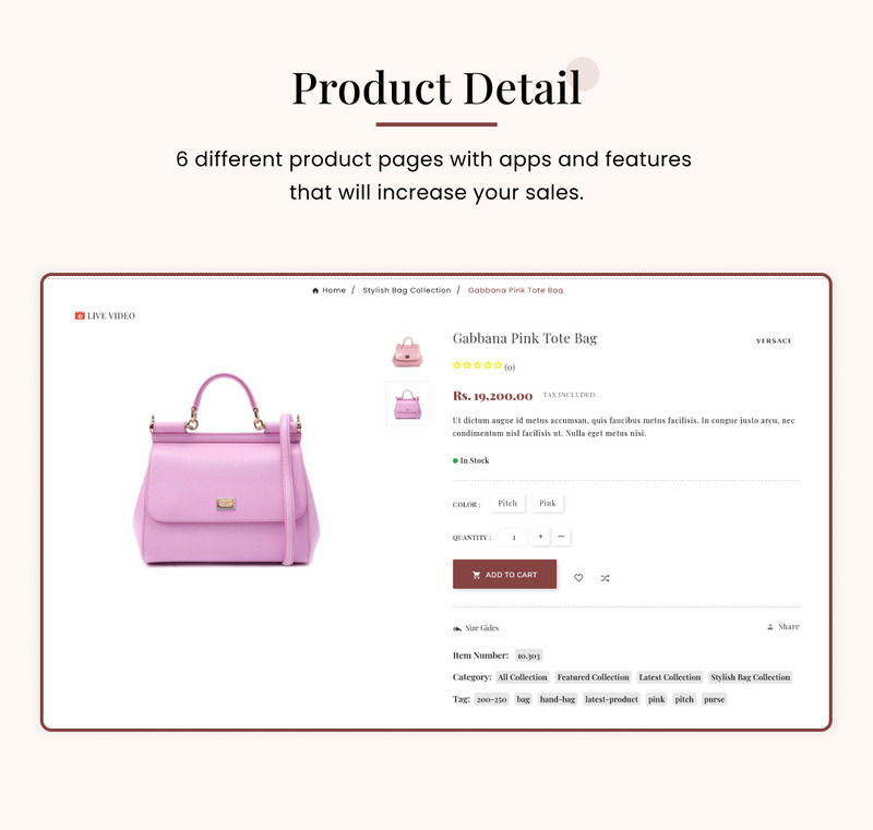 Bagstore - Mega Bag Super Shopify 2.0 主题