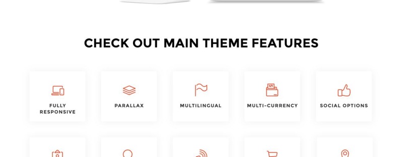 BasketTeam Shopify主题 #73660