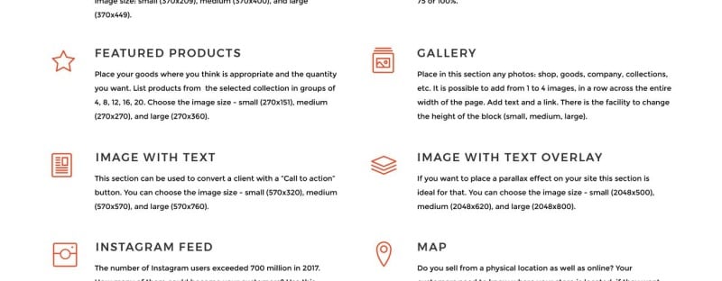 BasketTeam Shopify主题 #73660