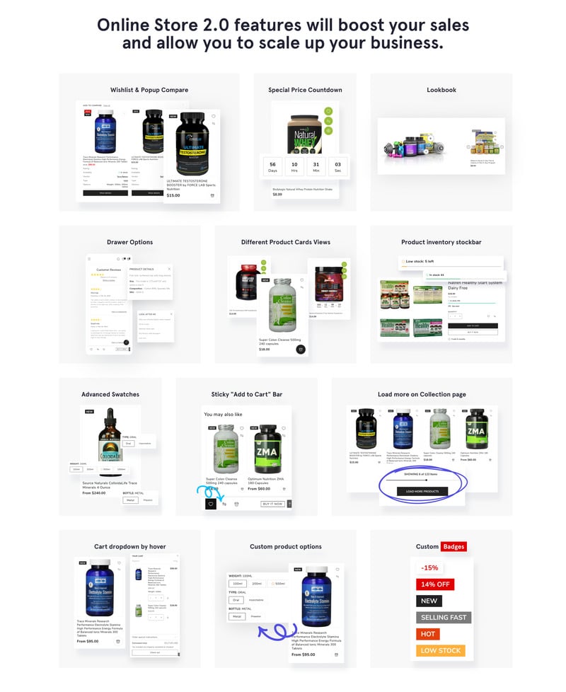 Nutrivibe Hub - 营养补充剂 Shopify 在线商店 2.0 主题