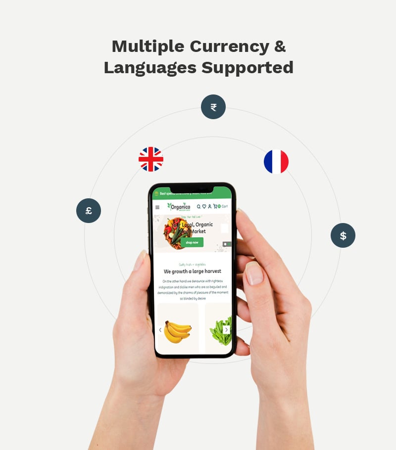 Organica - 有机水果和杂货店高级 Shopify 2.0 多用途响应式主题