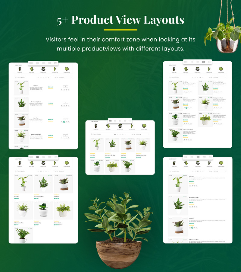 Dplantcy - 超级植物园 Shopify 2.0 主题 #288526