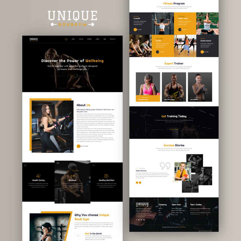 ff5dd1ecce7441cad7c5df919ab0b6e4 独特的 Roubgym Shopify 模板 #233307