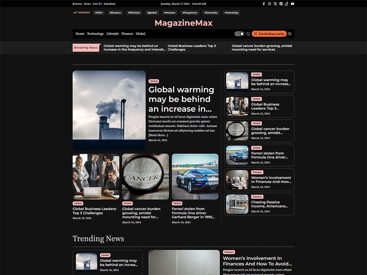 Magazinemax WordPress 主题