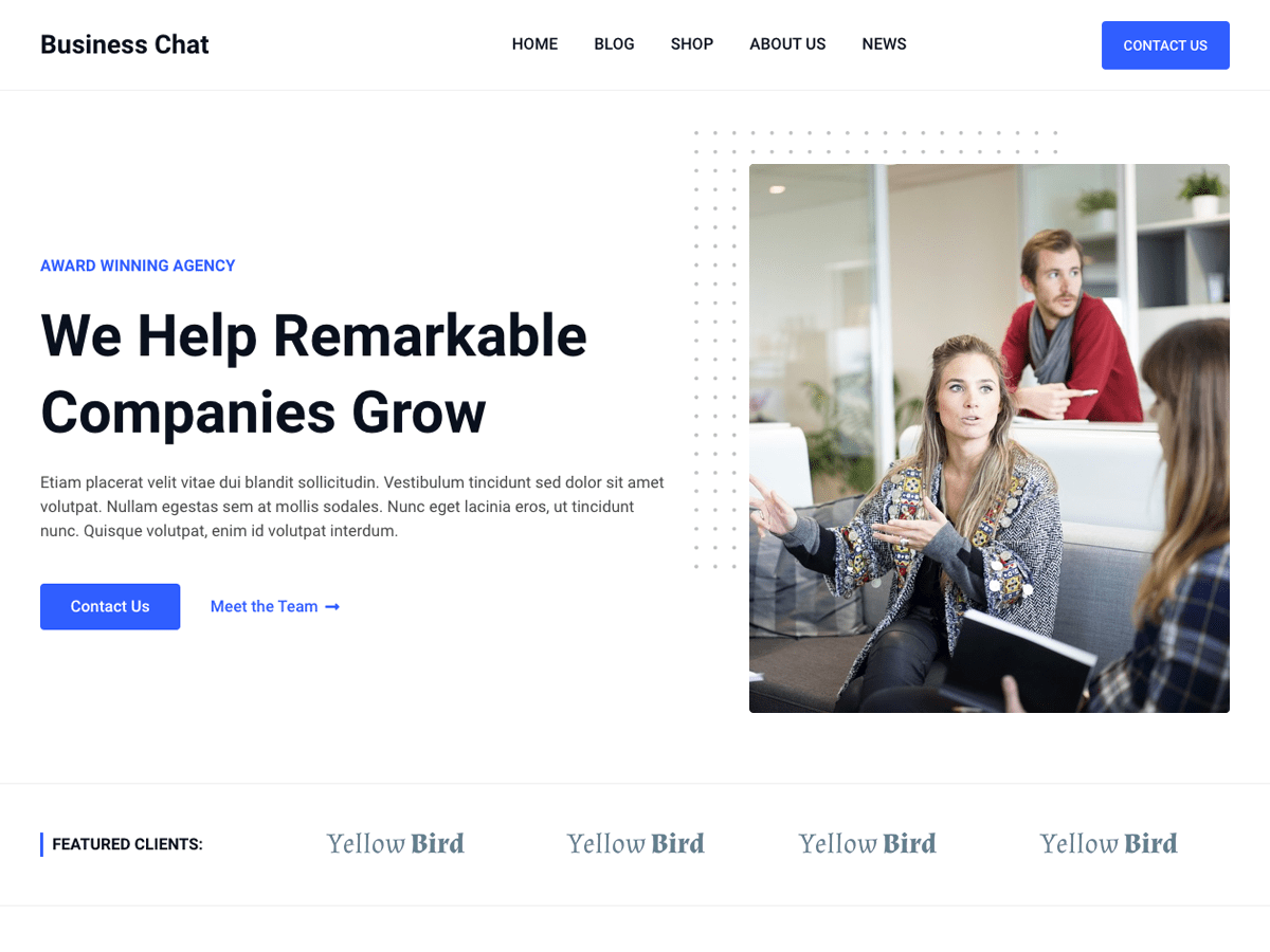 screenshot-1023 Business Chat WordPress 主题