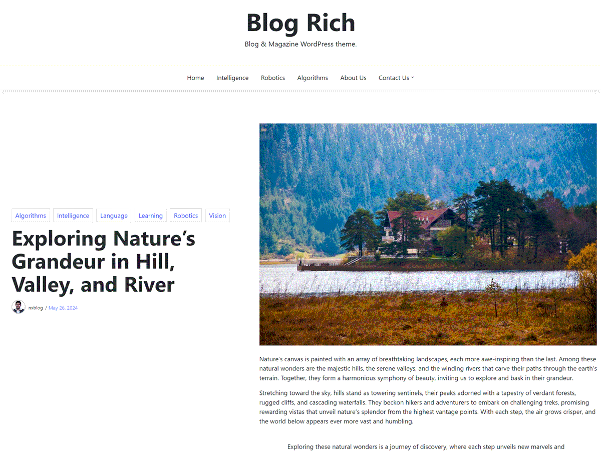 screenshot-120 Blog Rich WordPress 主题