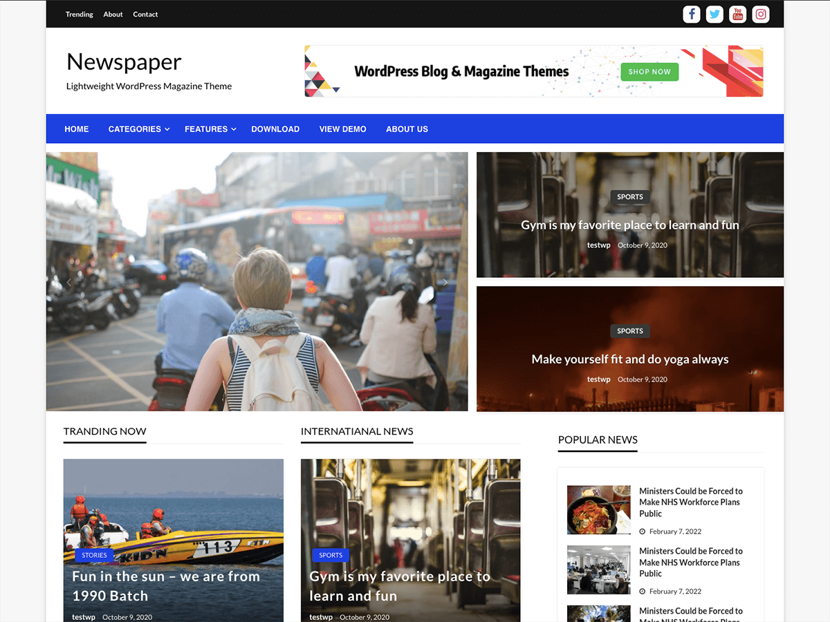 Newspaper Story WordPress 主题