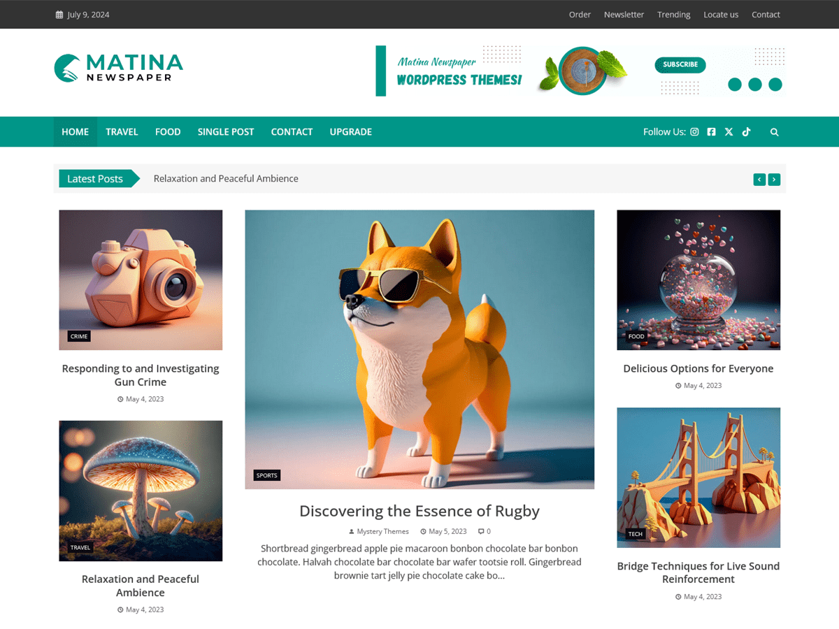 Matina Newspaper WordPress 主题