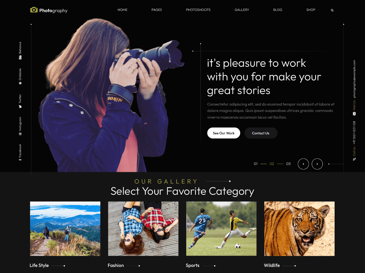 screenshot-163 Dark Photography WordPress 主题