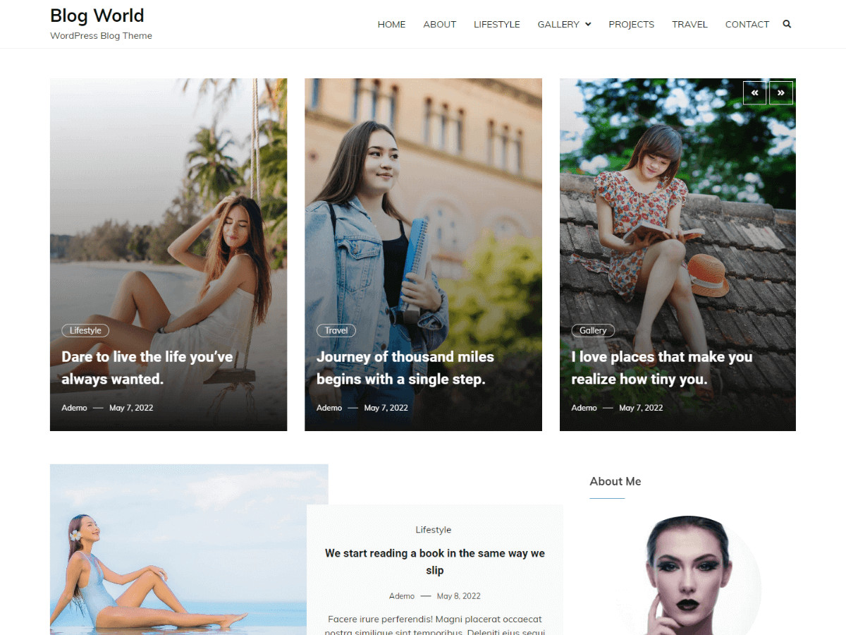 screenshot-167 Blog World WordPress 主题