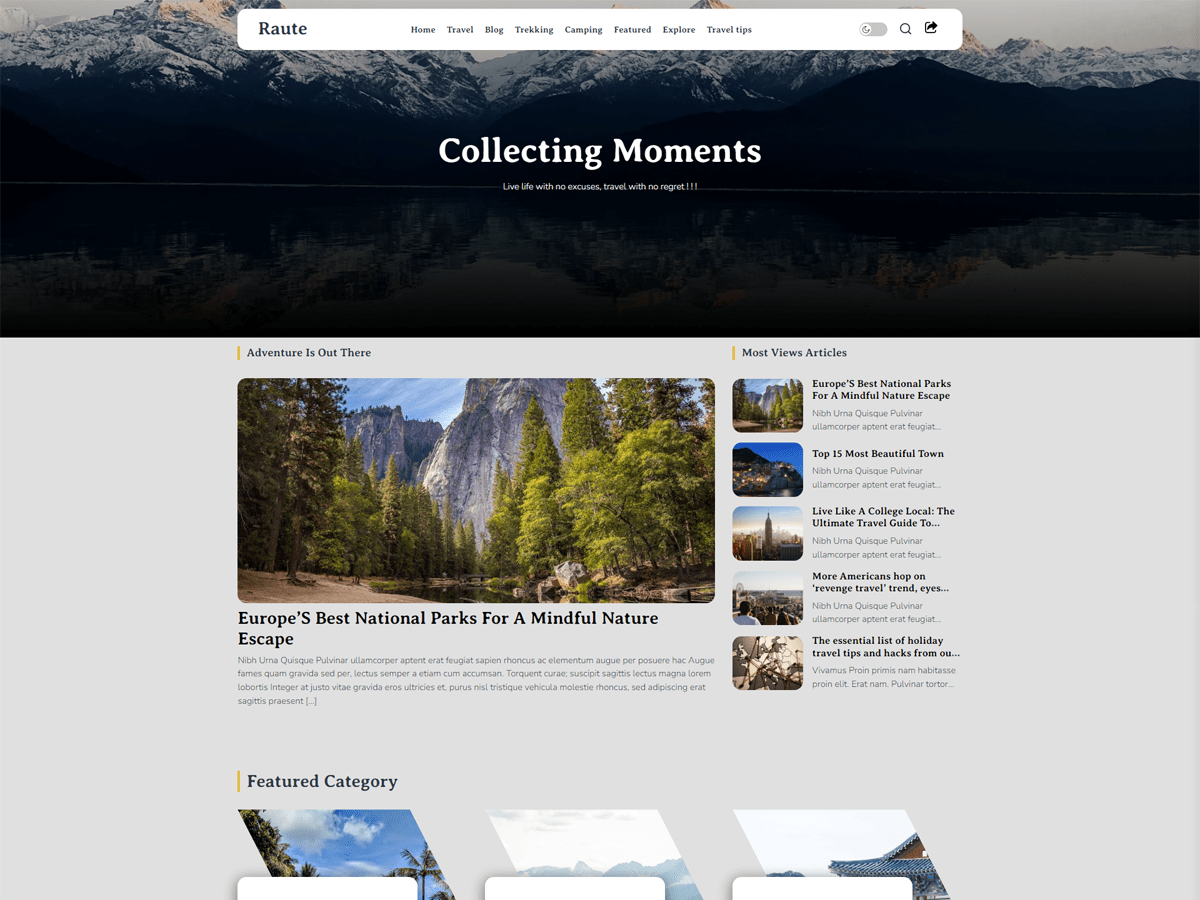 Raute WordPress 主题