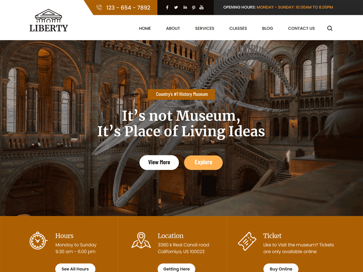 screenshot-243 Liberty FSE WordPress 主题