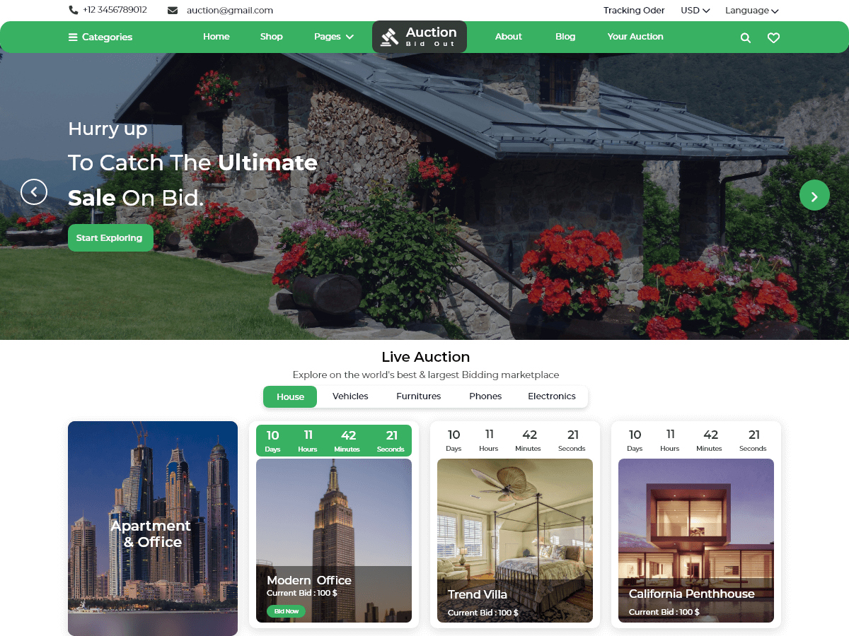screenshot-248 Auction Bidding WordPress 主题