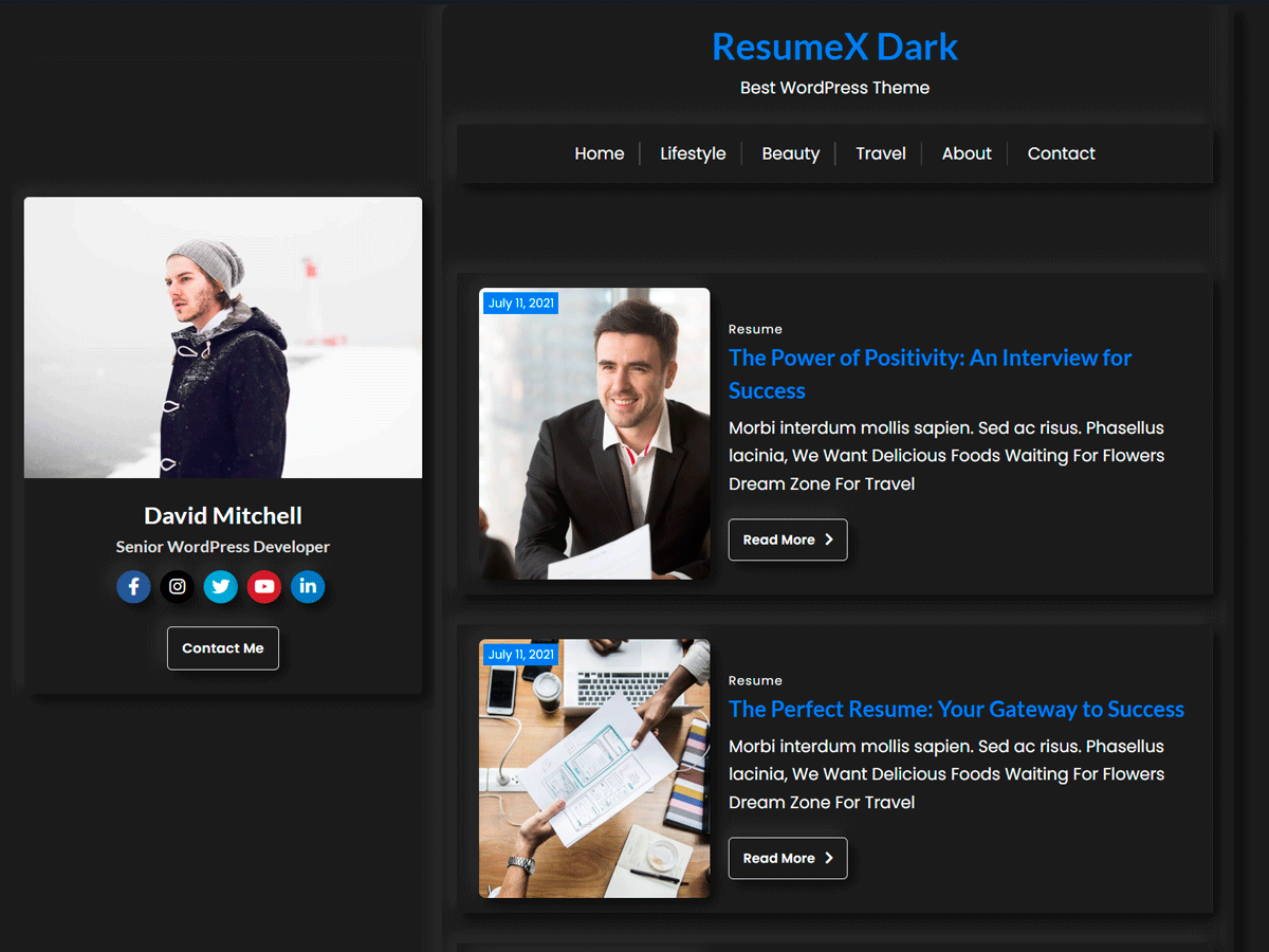 screenshot-256 ResumeX Dark WordPress 主题