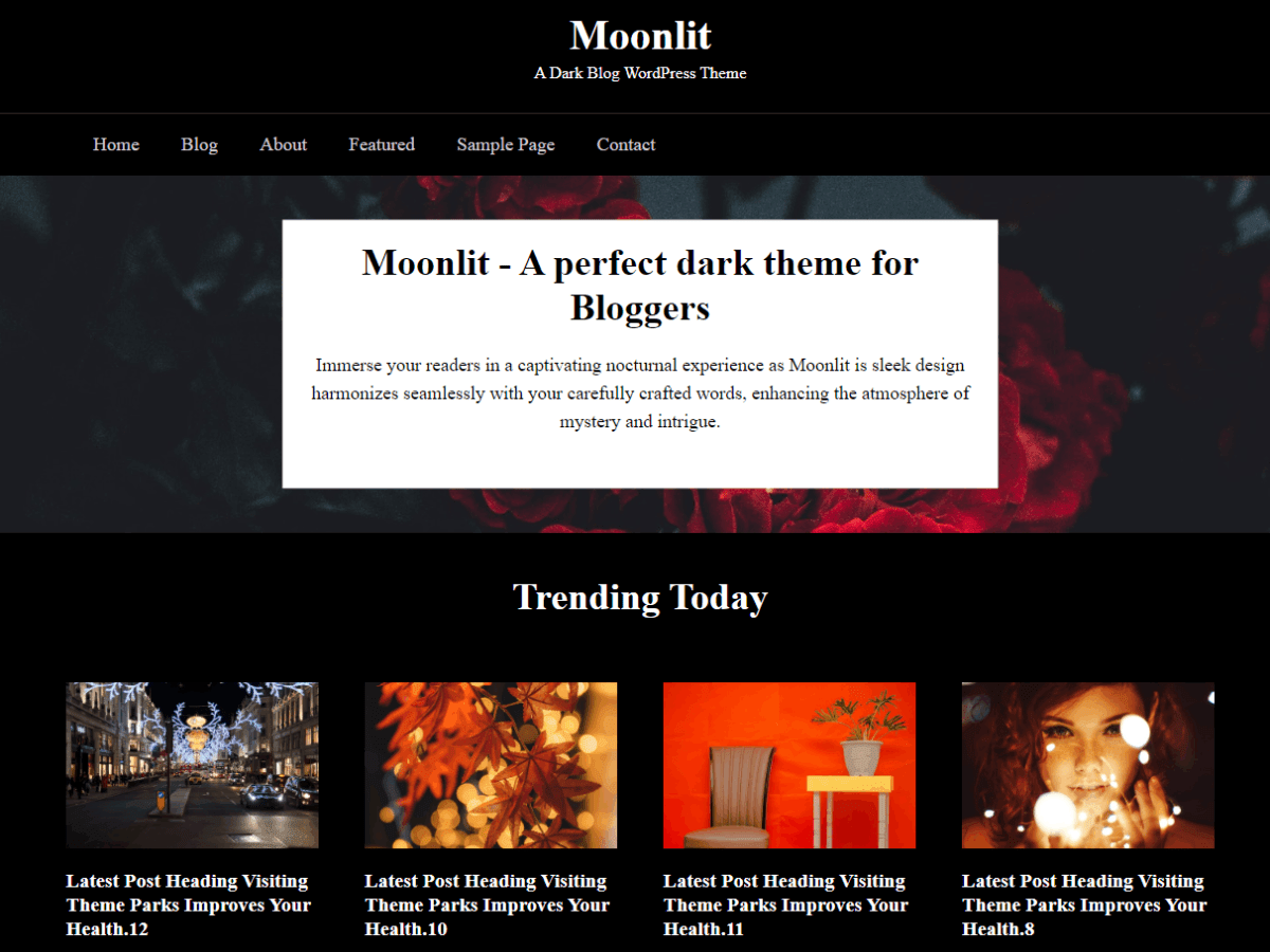 screenshot-259 Moonlit Dark WordPress 主题
