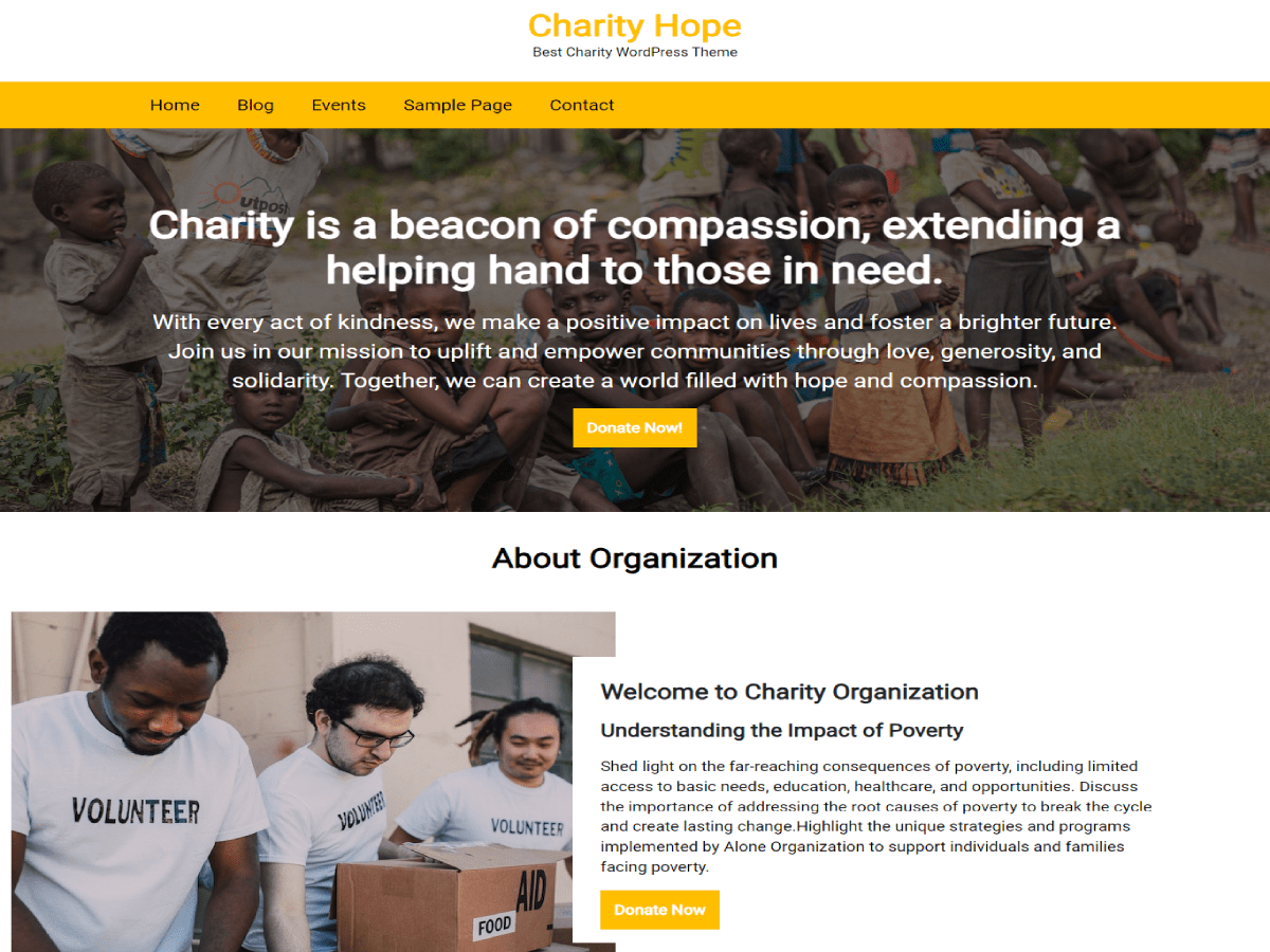 CA Charity Hope WordPress 主题