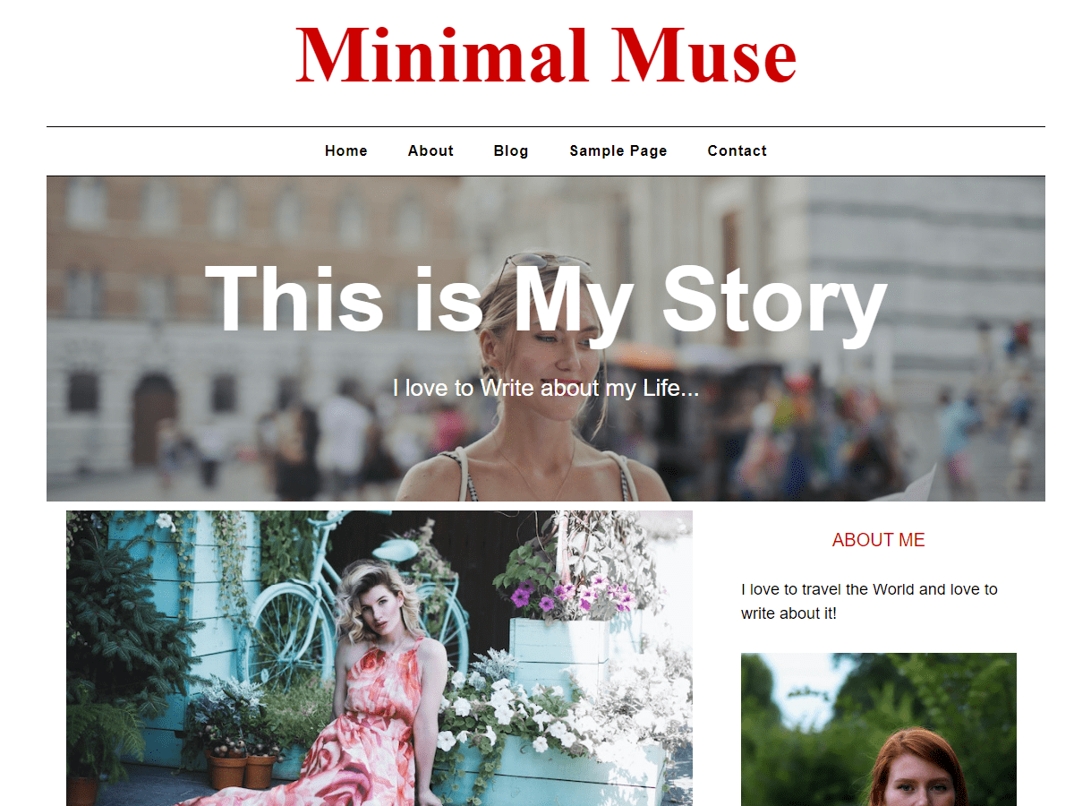 Minimal Muse WordPress 主题