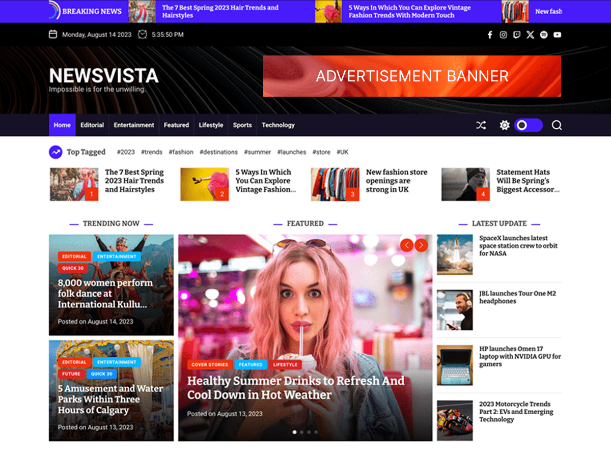 NewsVista WordPress 主题