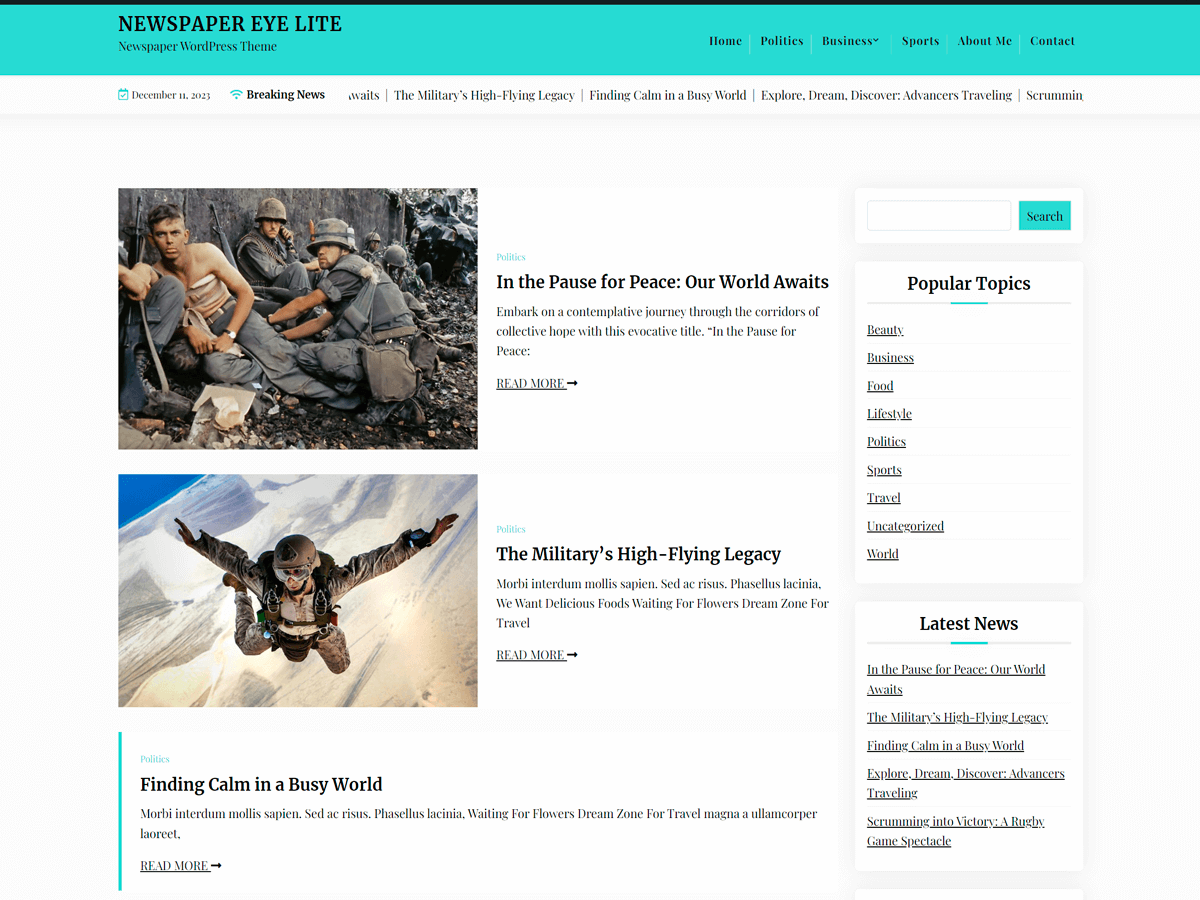 Newspaper Eye Lite WordPress 主题