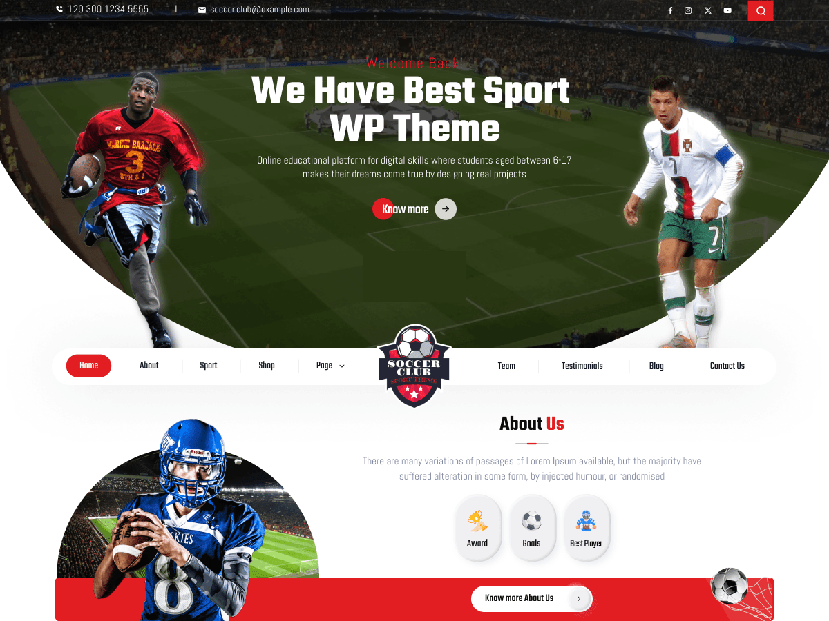 Soccer Club WordPress 主题