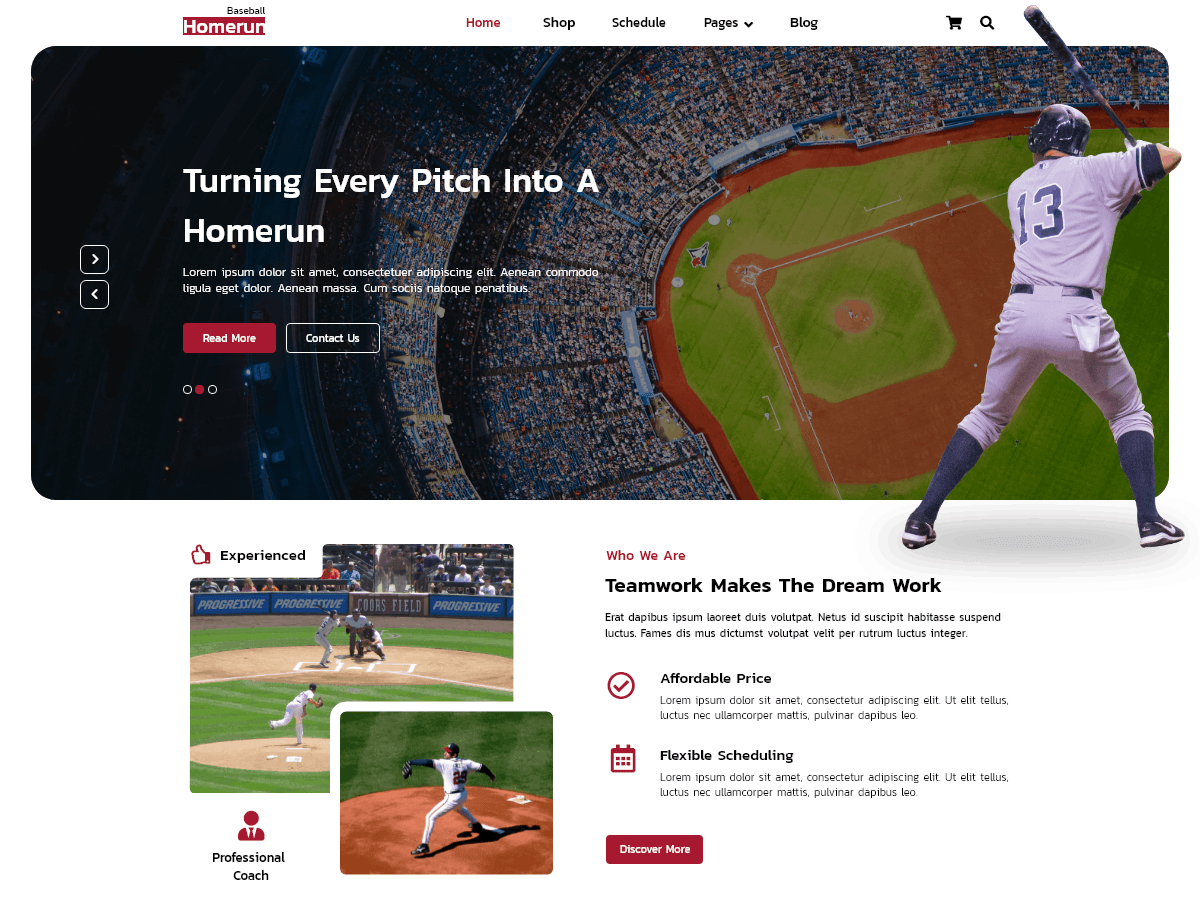 screenshot-29 FSE Baseball WordPress 主题