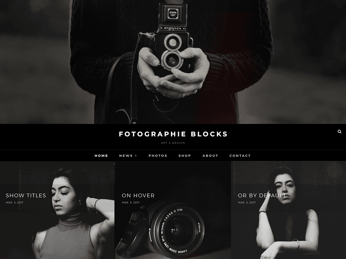 Fotografie Blocks WordPress 主题