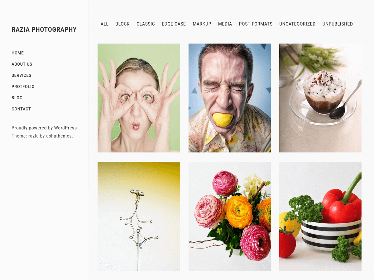 Razia Photography WordPress 主题