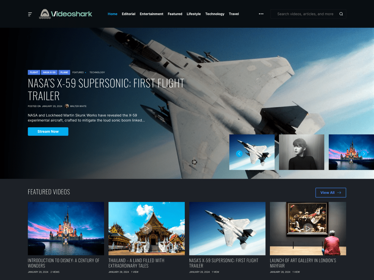 VideoShark WordPress 主题