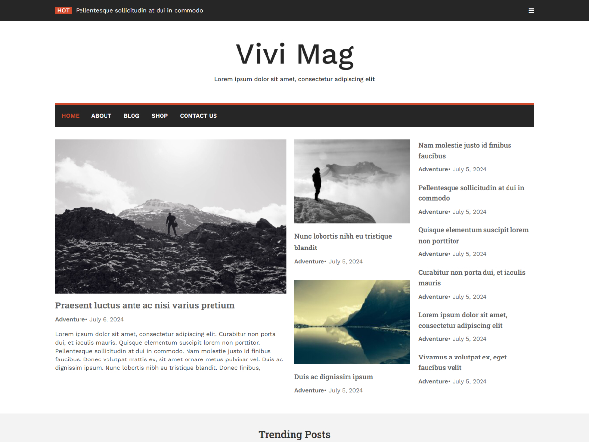 Vivi Mag WordPress 主题