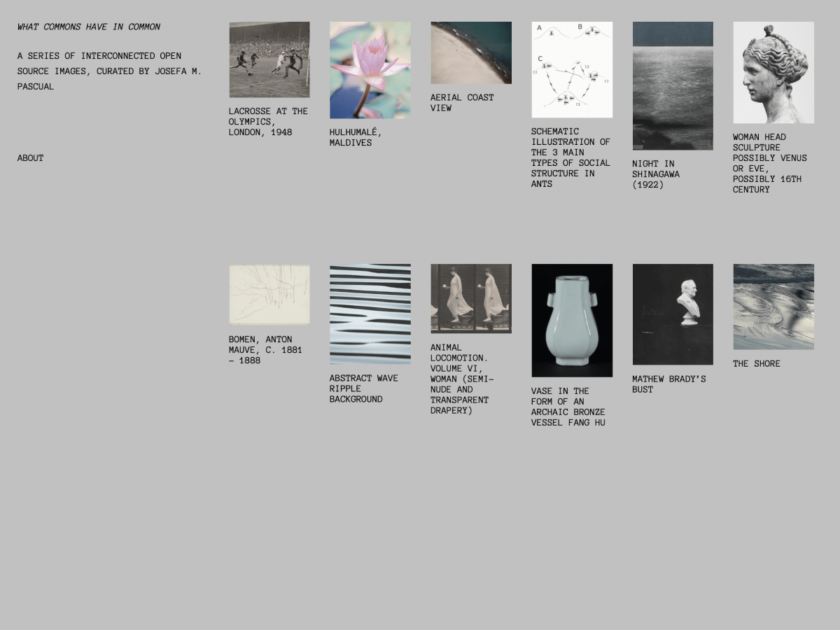 Common WordPress 主题