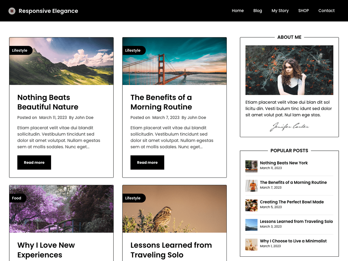 Responsive Elegance WordPress 主题