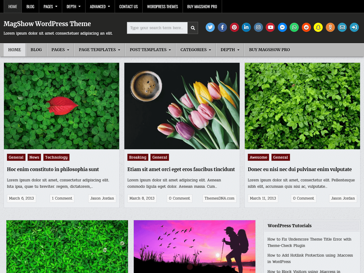 screenshot-499 MagShow WordPress 主题