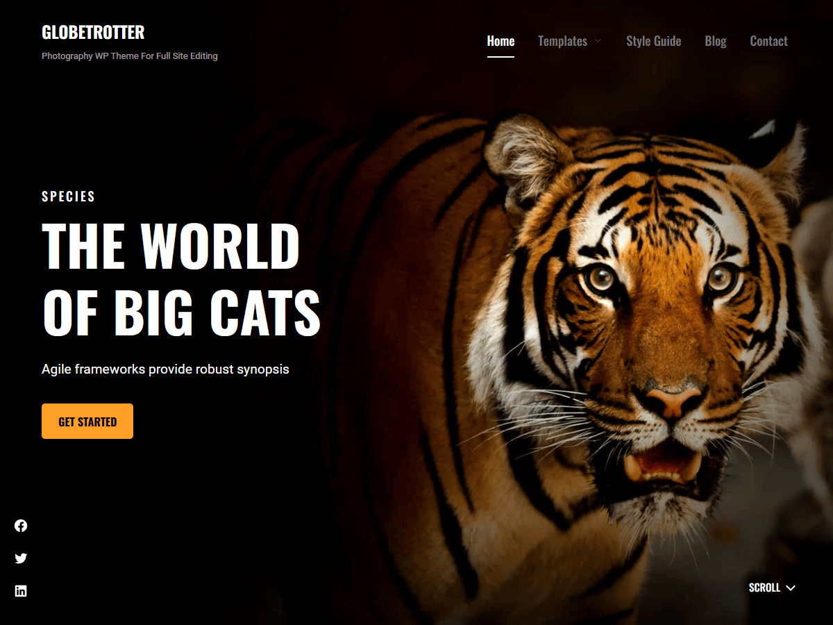 screenshot-509 Globetrotter WordPress 主题