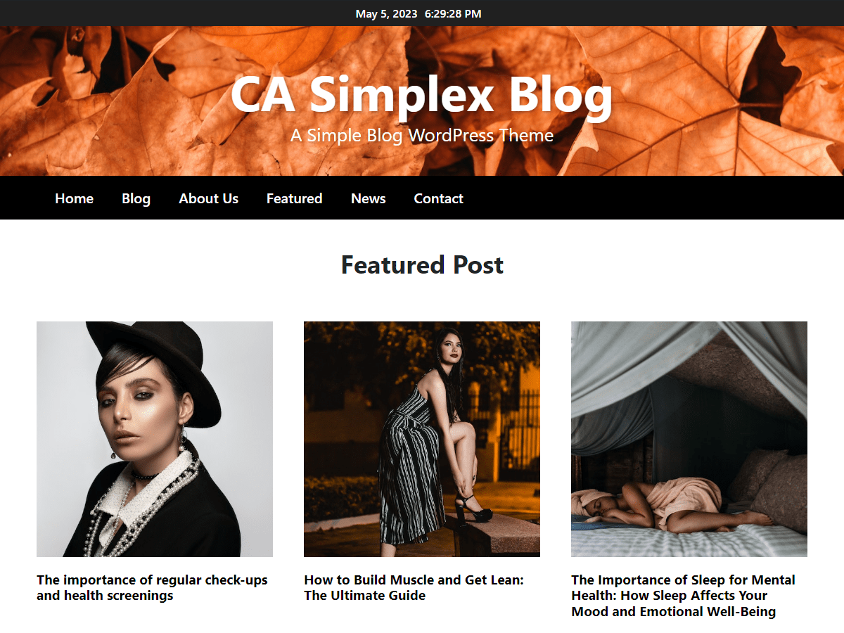 CA Simplex Blog WordPress 主题
