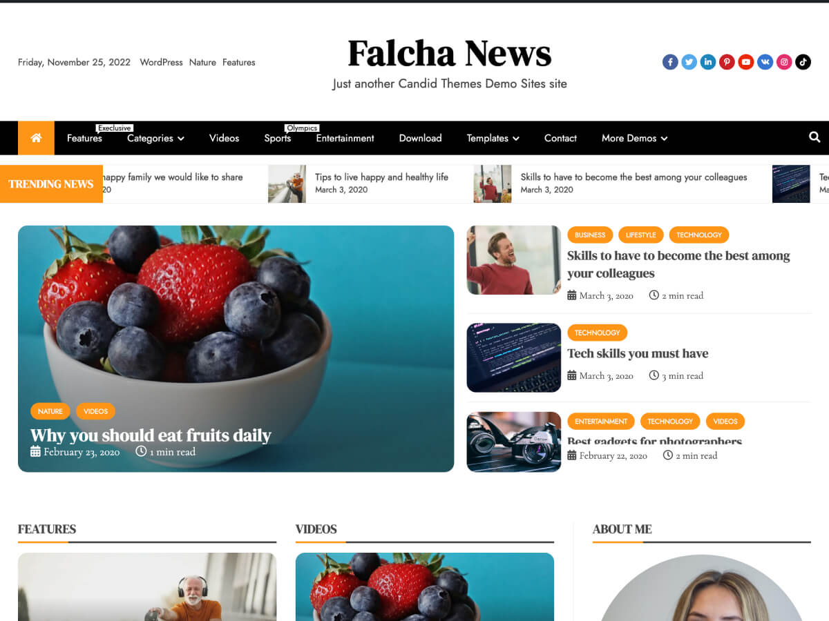 screenshot-62 Falcha News WordPress 主题