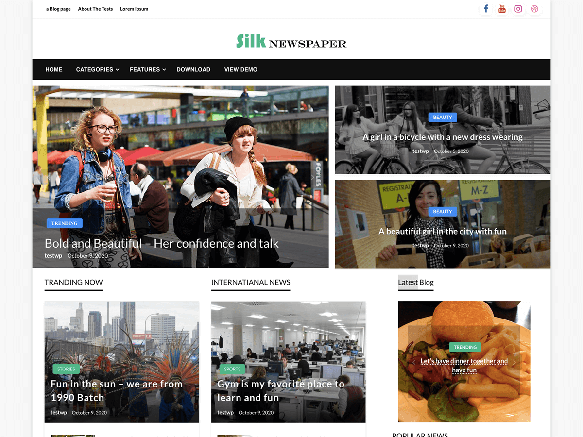 Silk Newspaper WordPress 主题