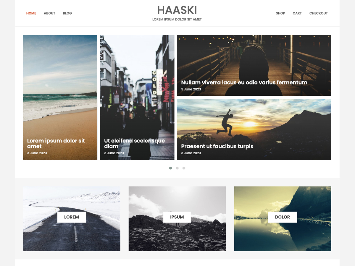 Haaski Lite WordPress 主题